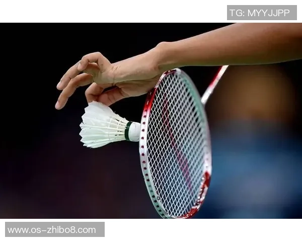 北京羽毛球队战术揭秘:包夹策略如何助力夺冠之路 北京羽毛球队战术揭秘:包夹策略如何助力夺冠之路