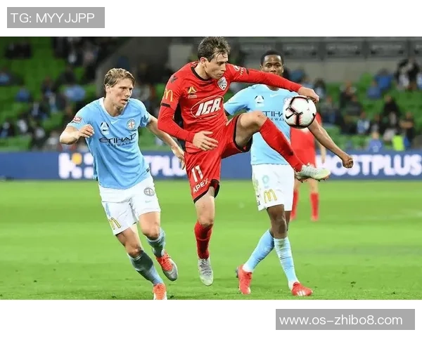 惠灵顿凤凰迎战黑尔本胜利争夺澳超联赛关键三分之战